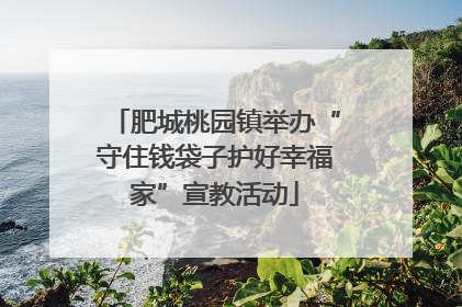 肥城桃园镇举办“守住钱袋子护好幸福家”宣教活动