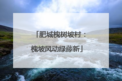 肥城槐树坡村：槐坡风动绿藤新