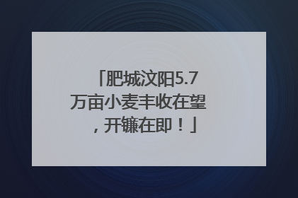 肥城汶阳5.7万亩小麦丰收在望，开镰在即！