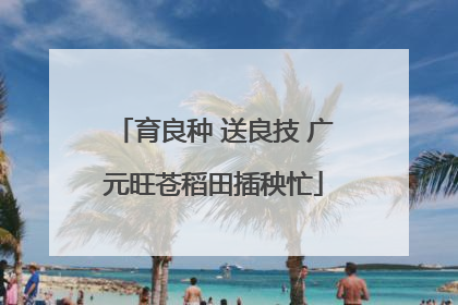 育良种 送良技 广元旺苍稻田插秧忙