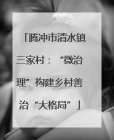 腾冲市清水镇三家村：“微治理”构建乡村善治“大格局”
