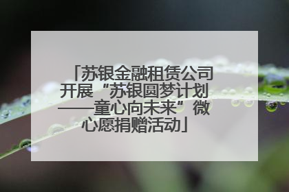 苏银金融租赁公司开展“苏银圆梦计划——童心向未来”微心愿捐赠活动