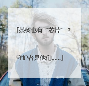 茶树也有“芯片”？守护者是他们……