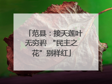 范县：接天莲叶无穷碧 “民主之花”别样红
