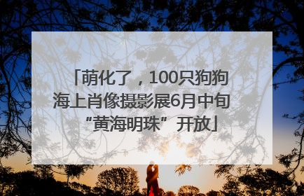 萌化了，100只狗狗海上肖像摄影展6月中旬“黄海明珠”开放