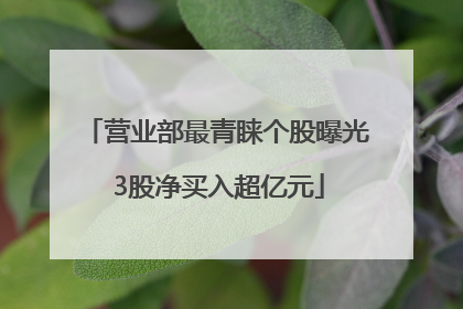 营业部最青睐个股曝光 3股净买入超亿元