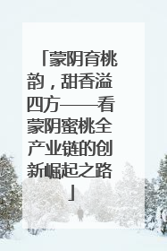 蒙阴育桃韵，甜香溢四方——看蒙阴蜜桃全产业链的创新崛起之路