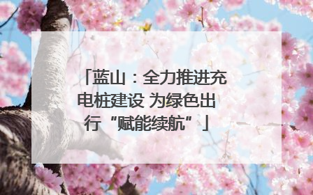 蓝山：全力推进充电桩建设 为绿色出行“赋能续航”