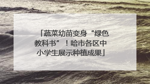 蔬菜幼苗变身“绿色教科书”！哈市各区中小学生展示种植成果
