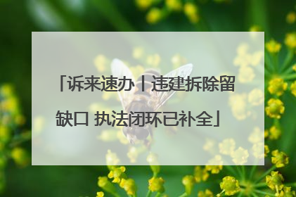 诉来速办丨违建拆除留缺口 执法闭环已补全