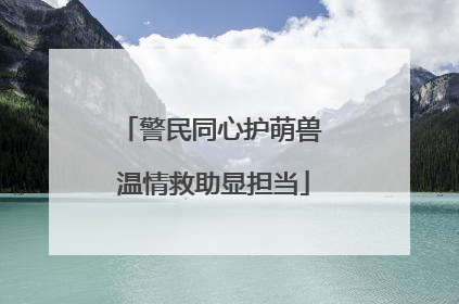 警民同心护萌兽 温情救助显担当