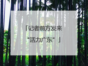 记者前方发来“活力广东”