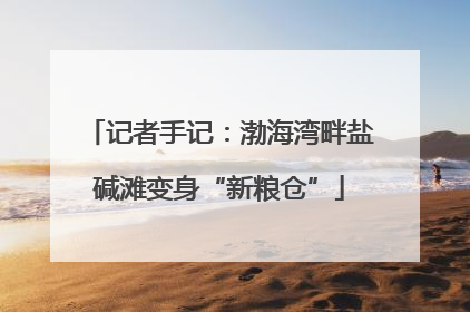 记者手记：渤海湾畔盐碱滩变身“新粮仓”