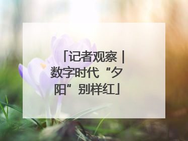 记者观察｜数字时代“夕阳”别样红