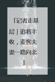 记者走基层｜追着丰收，麦客夫妻一路向北