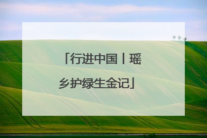 行进中国丨瑶乡护绿生金记