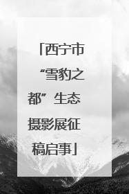 西宁市“雪豹之都”生态摄影展征稿启事