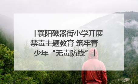 襄阳磁器街小学开展禁毒主题教育 筑牢青少年“无毒防线”