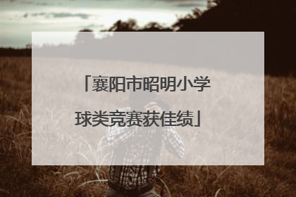 襄阳市昭明小学球类竞赛获佳绩