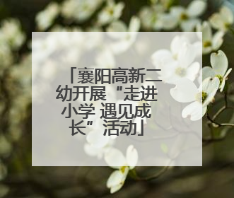 襄阳高新二幼开展“走进小学 遇见成长”活动