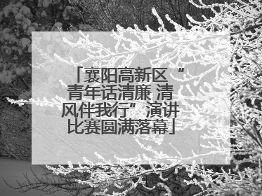 襄阳高新区“青年话清廉 清风伴我行”演讲比赛圆满落幕