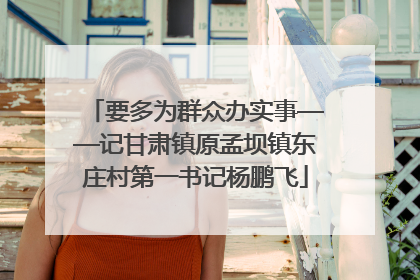 要多为群众办实事——记甘肃镇原孟坝镇东庄村第一书记杨鹏飞