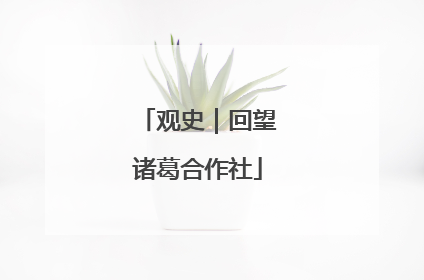 观史｜回望诸葛合作社