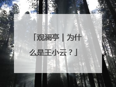 观澜亭｜为什么是王小云？