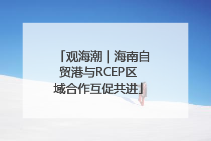 观海潮｜海南自贸港与RCEP区域合作互促共进