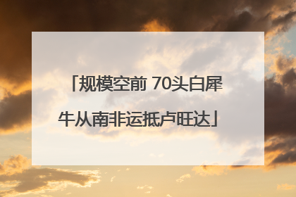 规模空前 70头白犀牛从南非运抵卢旺达