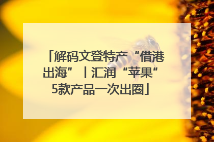 解码文登特产“借港出海”丨汇润“苹果”5款产品一次出圈