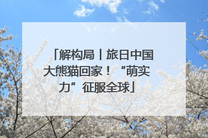 解构局丨旅日中国大熊猫回家！“萌实力”征服全球