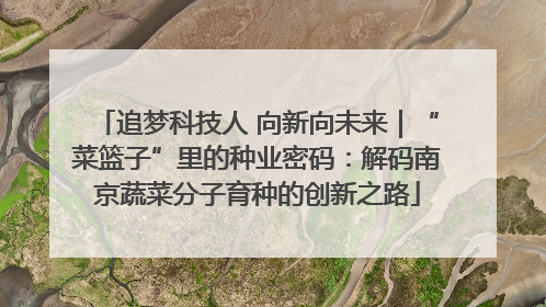 追梦科技人 向新向未来｜“菜篮子”里的种业密码：解码南京蔬菜分子育种的创新之路