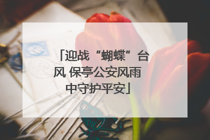 迎战“蝴蝶”台风 保亭公安风雨中守护平安
