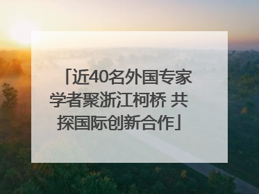近40名外国专家学者聚浙江柯桥 共探国际创新合作