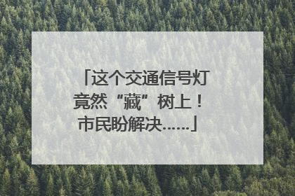 这个交通信号灯竟然“藏”树上！市民盼解决……