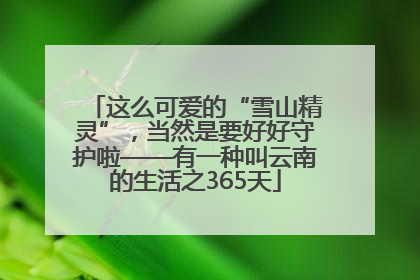 这么可爱的“雪山精灵”，当然是要好好守护啦——有一种叫云南的生活之365天