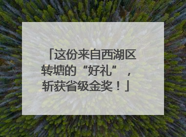这份来自西湖区转塘的“好礼”，斩获省级金奖！