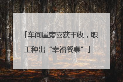 车间屋旁喜获丰收，职工种出“幸福餐桌”