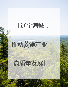 辽宁海城：推动菱镁产业高质量发展