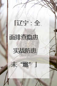 辽宁：全面排查隐患 实战防患未“燃”