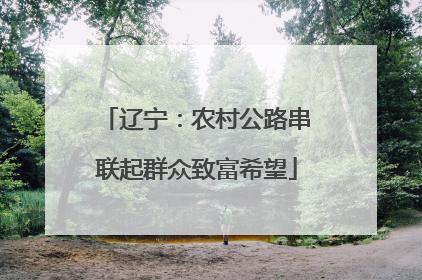 辽宁：农村公路串联起群众致富希望