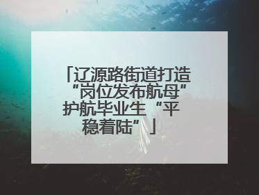 辽源路街道打造“岗位发布航母” 护航毕业生“平稳着陆”