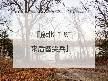 豫北“飞”来后备尖兵