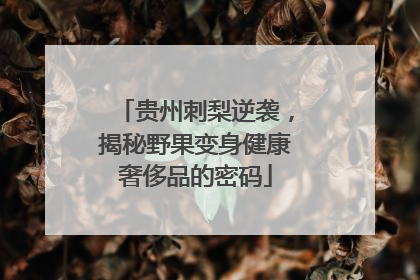 贵州刺梨逆袭，揭秘野果变身健康奢侈品的密码