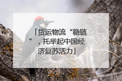 货运物流“稳链”，托举起中国经济复苏活力