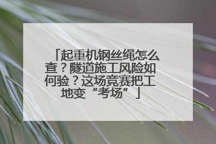 起重机钢丝绳怎么查？隧道施工风险如何验？这场竞赛把工地变“考场”
