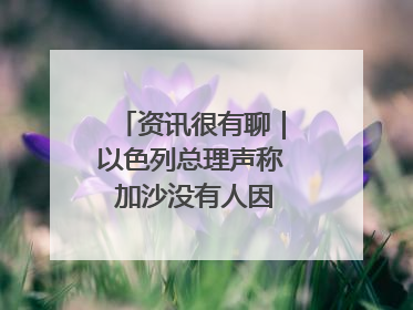 资讯很有聊｜以色列总理声称 加沙没有人因饥饿而消瘦
