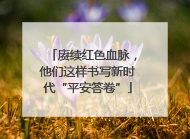赓续红色血脉，他们这样书写新时代“平安答卷”