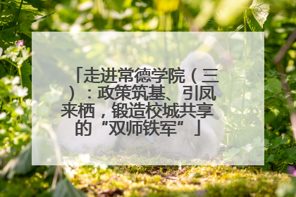 走进常德学院（三）：政策筑基、引凤来栖，锻造校城共享的“双师铁军”